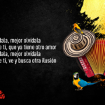 SENTIR VALLENATO: La voz digital del género musical